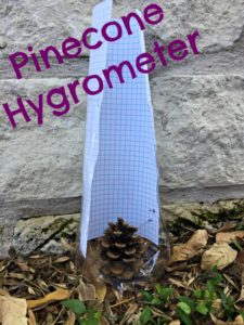 Pinecone Hygrometer
