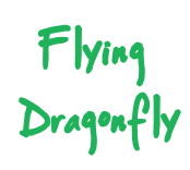 Flying Dragonfly DeSTEMber 2020