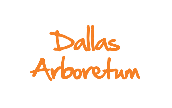 Dallas Arboretum DeSTEMber 2021