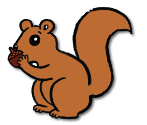 Citizen Science Sunday - Project Squirrel DeSTEMber 2021