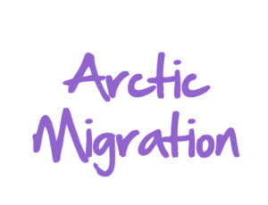 Arctic Migration DeSTEMber 2022