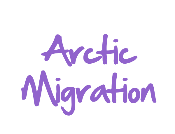 Arctic Migration DeSTEMber 2022