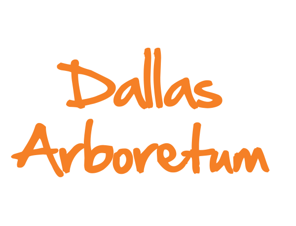 Dallas Aboretum DeSTEMber 2022