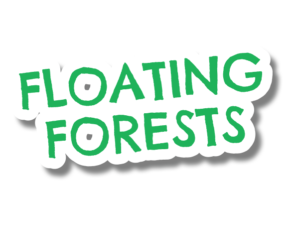 Floating Forests DeSTEMber 2022