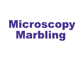 Microscopy Marbling DeSTEMber 2022