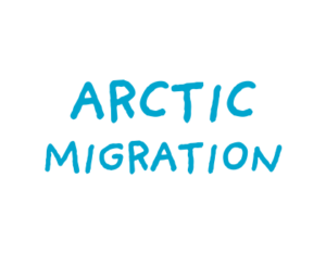 Artic Migration DeSTEMber 2024