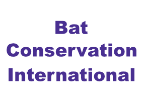 Bat conservation international destember 2024