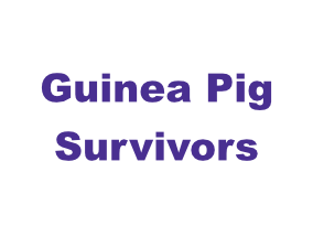 Guinea Pig Survivors DeSTEMber 2024