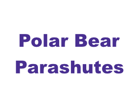 Polar Bear Parashutes DeSTEMber 2024