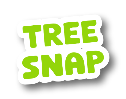 Tree Snap destember 2024